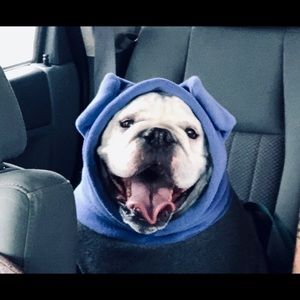 Meet your Posher, Jeremy